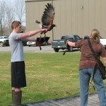 Master Falconer Cheri Heimbach works with Michael A. Kocjancic, a forest technology major from Kane (and Alice).