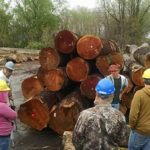 Penn College grad Paul R. South (in red hard hat) leads students on a tour of Danzer Veneers log yard.