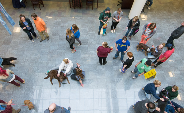 A bird's-eye view of the dog days of spring