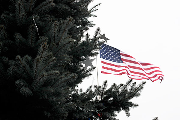 Stars on the tree honor the college's military family ... and duplicate those on the flag beyond.