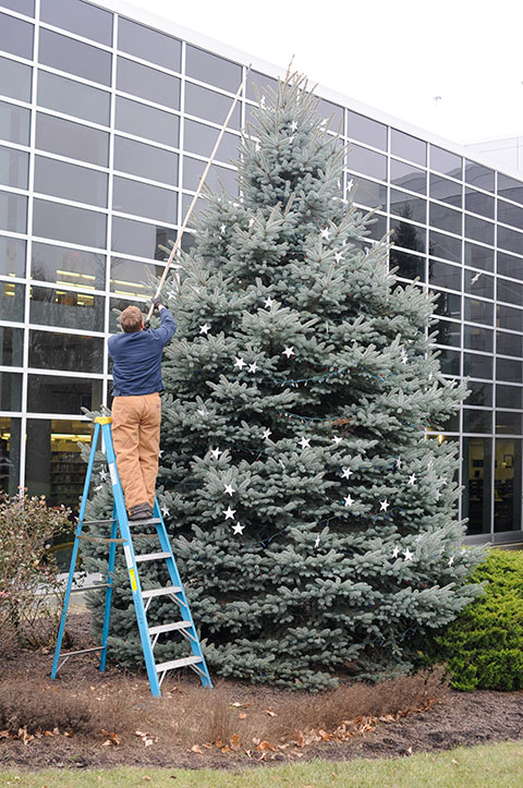 General Services' Matthew P. Barrett, a second-shift horticulturalist, takes the difficulty out of those hard-to-reach places.