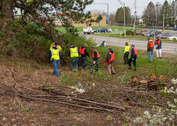 A tree stump and gathered limbs are just a few of the signs that a significant cleanup, the first of many under the college's highway-adoption agreement, is underway. 