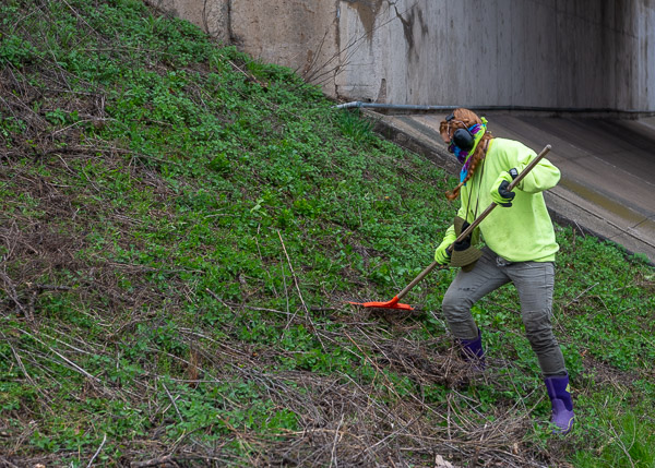 Natasha M. Martin, groundskeeper at the Schneebeli Earth Science Center (where she earned multiple degrees in landscape/horticulture technology), wields a rake with purpose – and alumni pride.