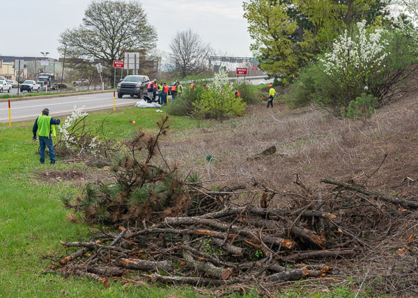 Not content with mere garbage pickup, the crew goes the extra half-mile to beautify the area.