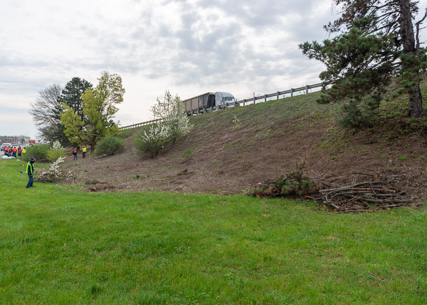 Traffic rumbles above the team's early-morning worksite, no longer a cluttered catch-all of motorists' throwaways.