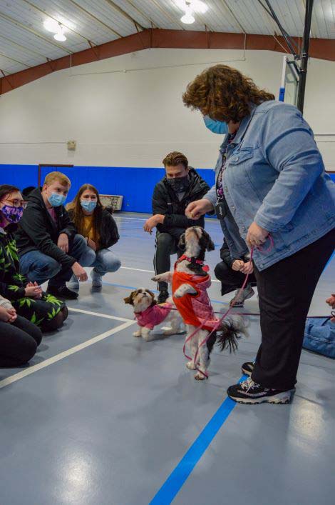 Dancing for treats are Kiwi and Rubi, Shih Tzus owned by Kimberly A. Venti, coordinator of scholarships, special programs and communication in the Financial Aid Office.
