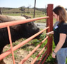 Maggie K. Calkins feeds a water buffalo