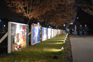 Passersby view lighted holiday cards along the ATHS lawn
