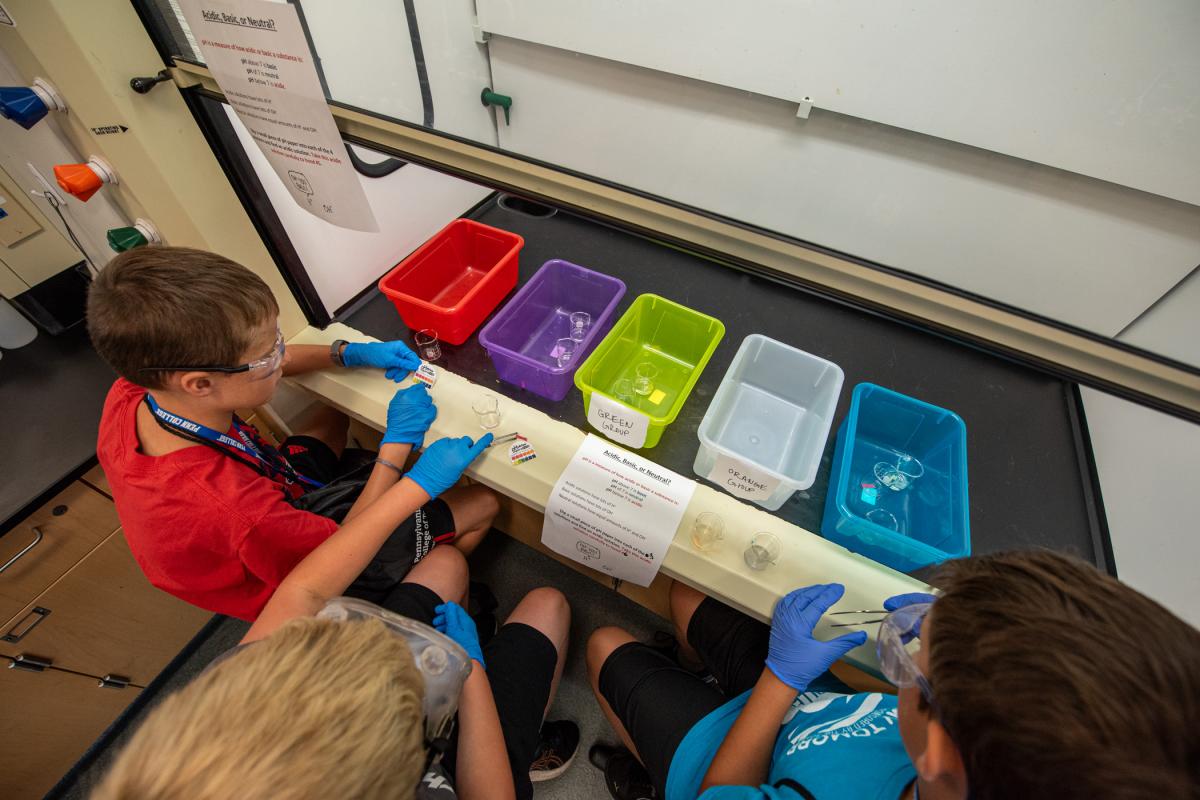 In a college chemistry lab, young scientists examine the pH scale.