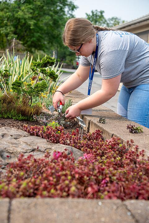 Another participant in the “Design, Build & Grow: Landscape & Horticulture” session snips some samples.