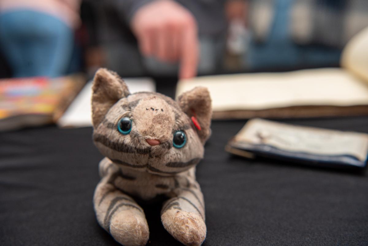 A 25-year-old mascot stares back from the past, seemingly quizzical and a bit worse-for-wear ... but still Wildcat-worthy!