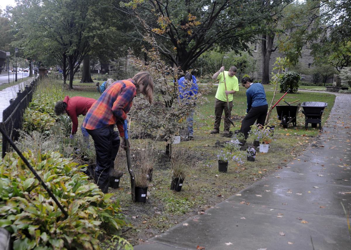 Students join community gardeners in enhancing the park's greenery.