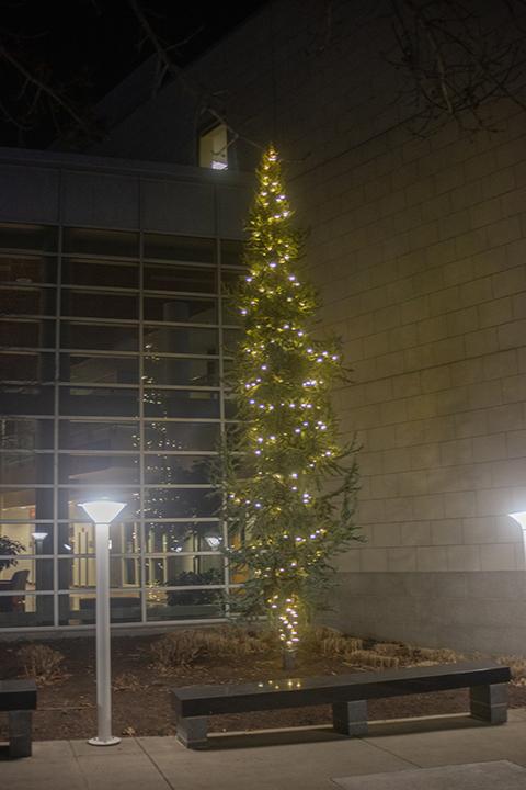 ... a lighted tree, stately and slender, is reflected in the lobby windows.