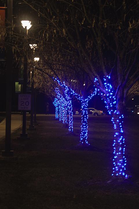 ... where one of Penn College's signature colors adorns the trees along Hagan Way.