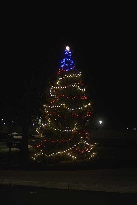 A tree within view of the Major General Fred F. Marty Veterans and Military Resource Center appropriately wears red, white and blue ...