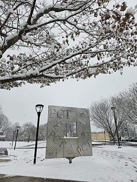 Filled with flora under more hospitable conditions, the PCT feature outside the Bush Campus Center frames a different view in December.