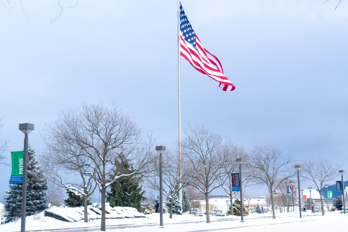 The nation's colors, flying high near the Davie Jane Gilmour Center, dramatically contrast with the near-monochromatic landscape.