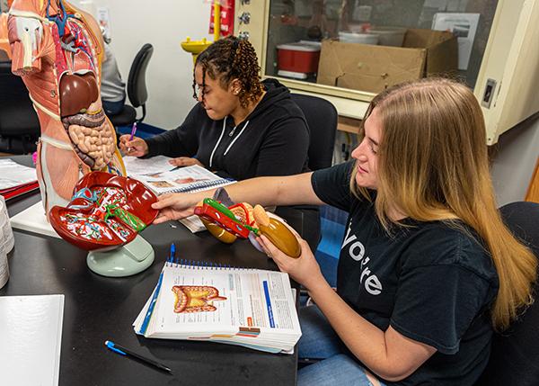 Penn College Launches Bachelor S Degree In Biomedical Sciences   Biomedical Sciences 