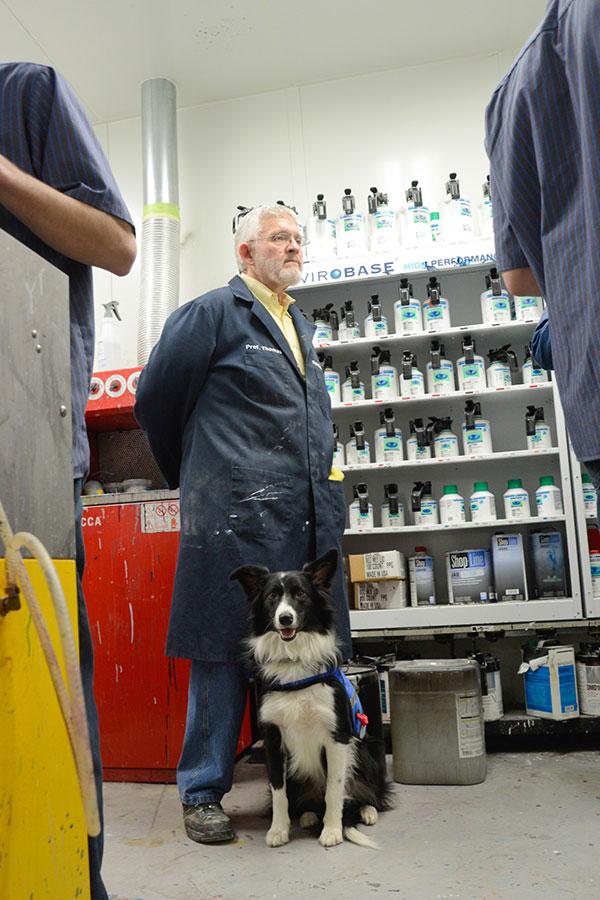 Training service dogs for military members is therapy for veterans at  Penn's new program