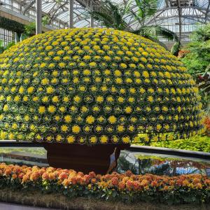 The gardens' Chrysanthemum Festival (including this thousand-bloom centerpiece) runs through Nov. 12, giving visitors a few more opportunities to celebrate fall's favorite flower.