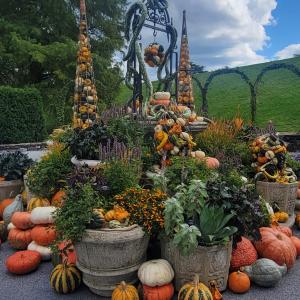 A fitting arrangement for a gorgeous autumn field trip