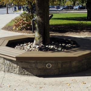 A prior group's contribution offers enticing sun and shade along West Third Street.