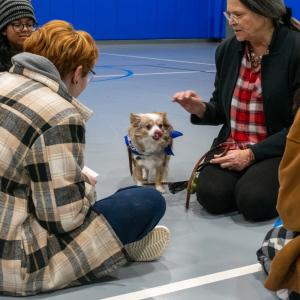 Cortez Von Rudberg, a long-haired chihuahua accompanied by Mary R. Shuma Rudberg, director of counseling services, enjoys a new circle of friends.