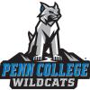 Wildcat Athletics logo