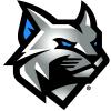 Wildcats logo