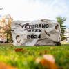 campus rock with Veterans Week writing