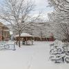 wintry campus scene