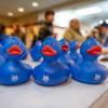 blue rubber ducks