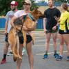 In his comfort zone is the aptly named Major, getting a calming pre-race hug from Corey J. Carr, a heating, ventilation and air conditioning technology student and member of the U.S. Army Reserve.