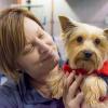 Noelle B. Bloom, assistant director of Dining Services, brought along Lily, her daughter's Yorkshire terrier.