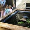 Learning Center Children Visit Biology Lab