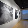 Reception Opens Gallery's Brian Bishop Exhibit