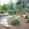 Conifer Garden Adds to Already-Beautiful ESC Landscape