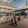 Horses parade to the paddock at Churchill Downs, in Louisville, Ky., in May. Pennsylvania College of Technology hospitality students will again work alongside celebrity chefs in the Downs’ premier venues during the Breeders’ Cup Championships, Nov. 2-3.