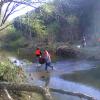 Students Remove Tons of Debris in Creek Cleanup