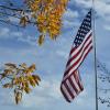 The nation's colors, framed by nature