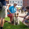 Canine Companions Effortlessly Ease Students' Transition