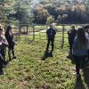 Students' human services fieldwork includes equine exercise