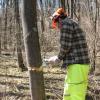 Wildlife Class Assists in Invasive Plant Control