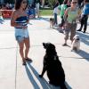 Students Find Four-Legged Friends at 'Hot Dog' Event