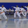 Seven Penn College Students Improve Belt Ranking at Martial Arts Event