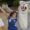 Campus Community Gets to 'Meet the Wildcats'