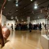 Gallery Reception Allows Patrons to View Artists' Work in 'Natural' Habitat