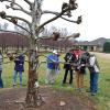 Horticulture faculty member attends tree-research summit