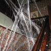 Students' Décor Attracts Halloween Hurrahs