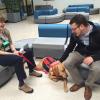 'Paws for a Break' Allows Students to Rest, Recharge